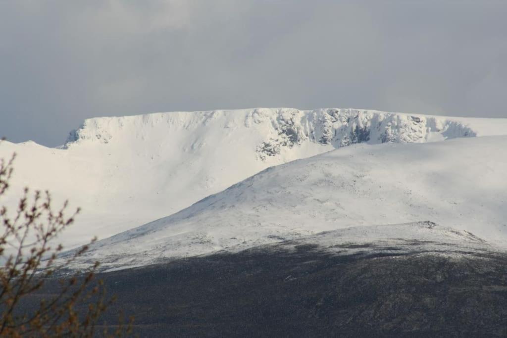 Aviemore Cottage - Cairngorms National Park Exterior foto